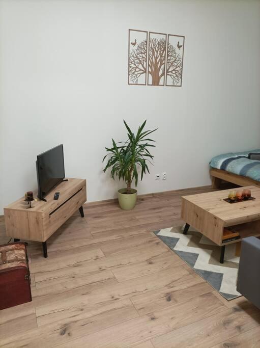 פרשוב Stylovy Apartman Zemplinska מראה חיצוני תמונה