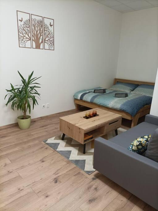 פרשוב Stylovy Apartman Zemplinska מראה חיצוני תמונה